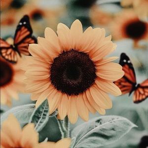 Meet your Posher, Bree